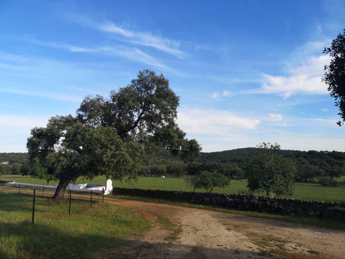 Casa Rural La Dehesilla Cazalla de la Sierra Dış mekan fotoğraf