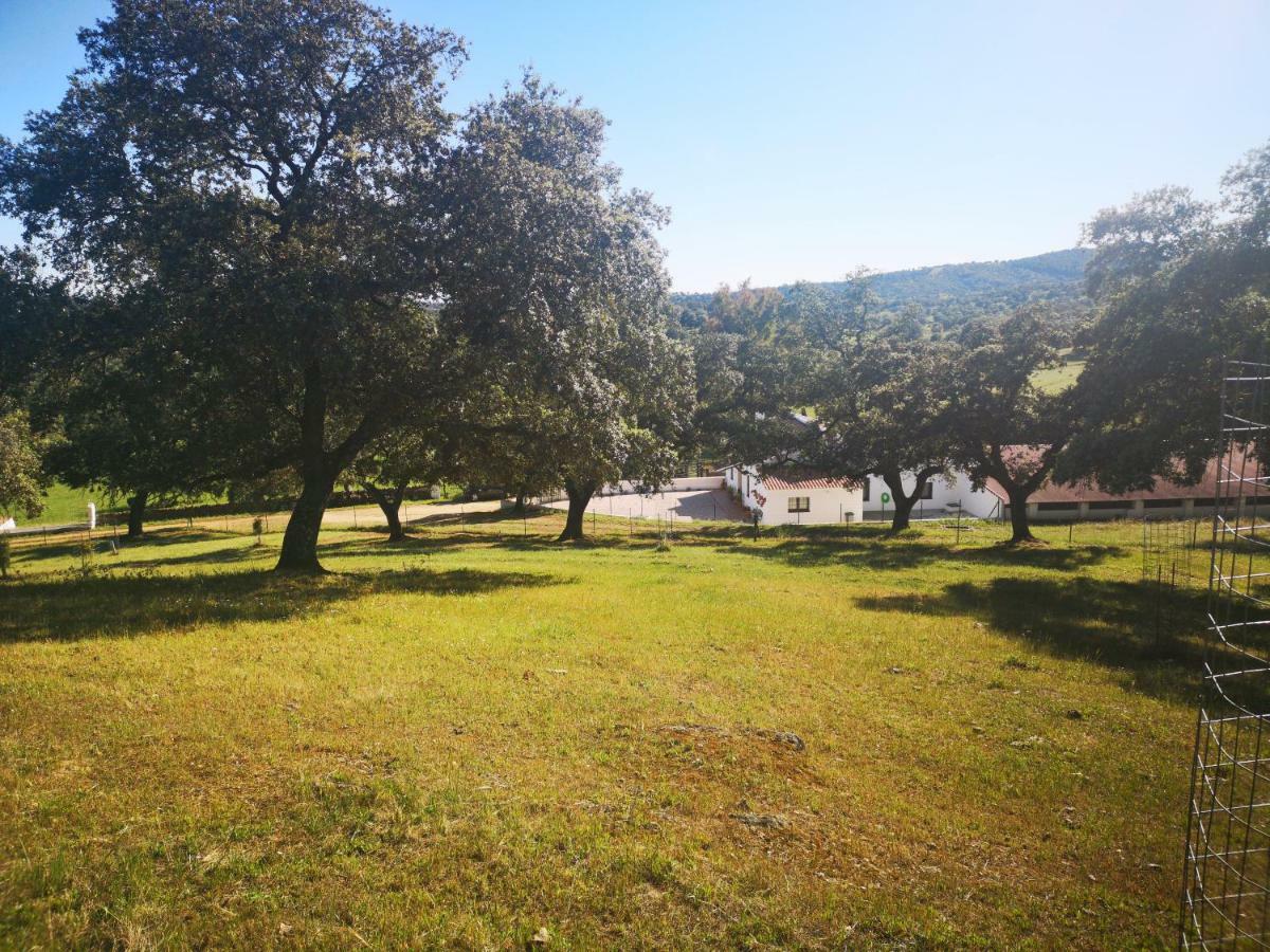Casa Rural La Dehesilla Cazalla de la Sierra Dış mekan fotoğraf